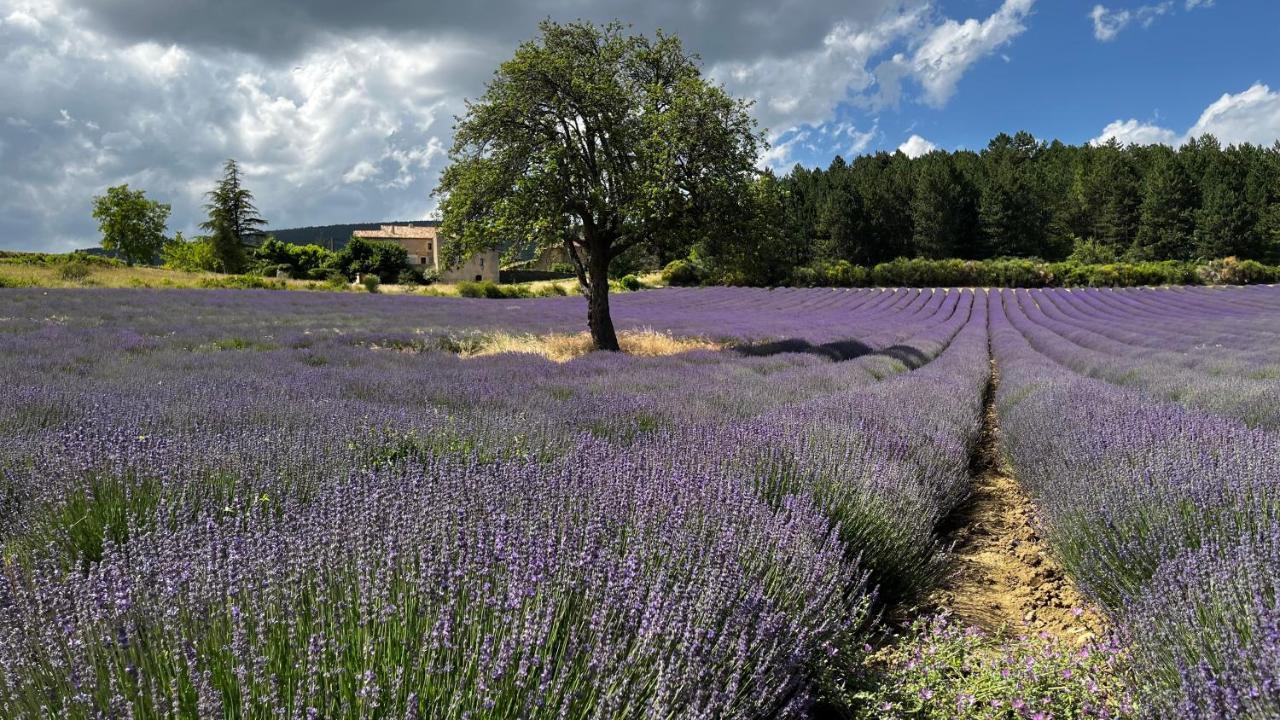 Santolines En Provence Bed & Breakfast Piolenc Exterior photo